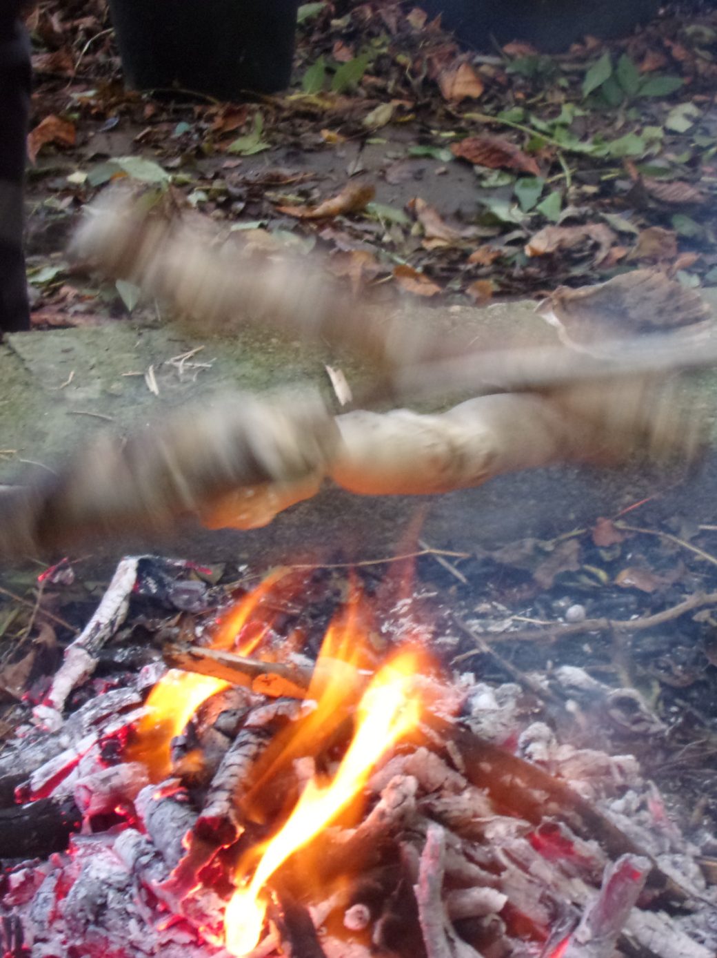 Marshmallows toasting over a campfire